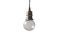 Miniatuur Darwin zilveren hanglamp Productfoto