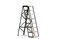 Miniatuur Eight-step studio ladder Productfoto