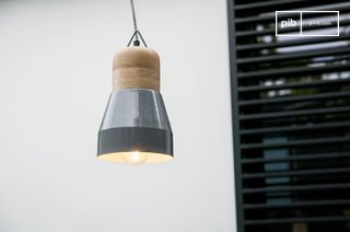 Grijze Newark hanglamp