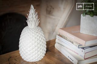 Porseleinen ananas pot