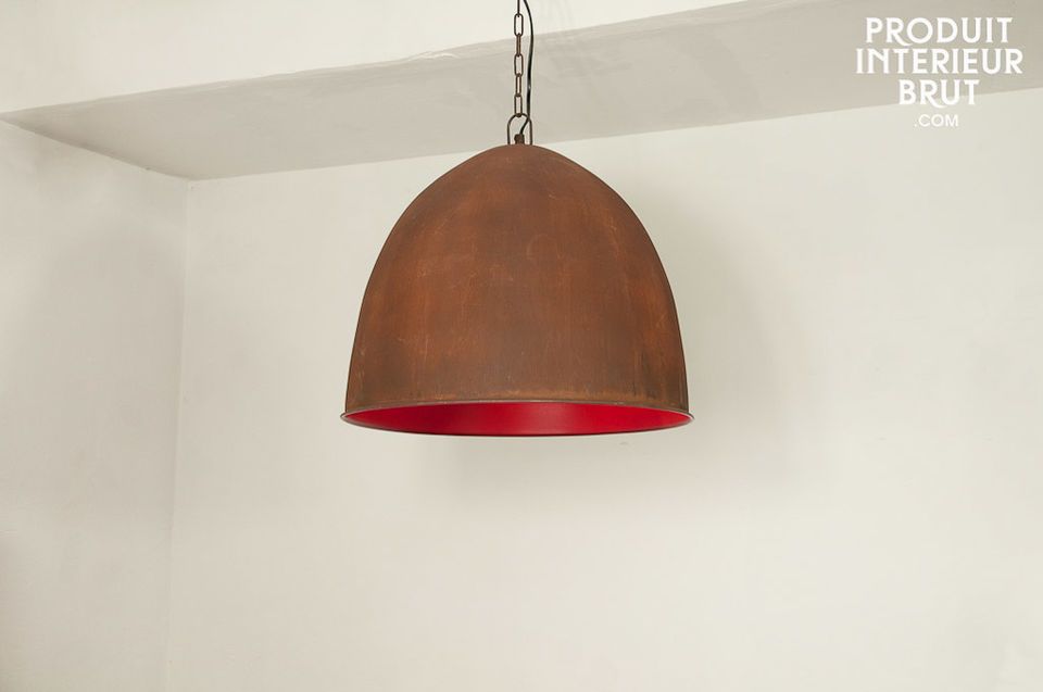 Raspberry Steel hanglamp